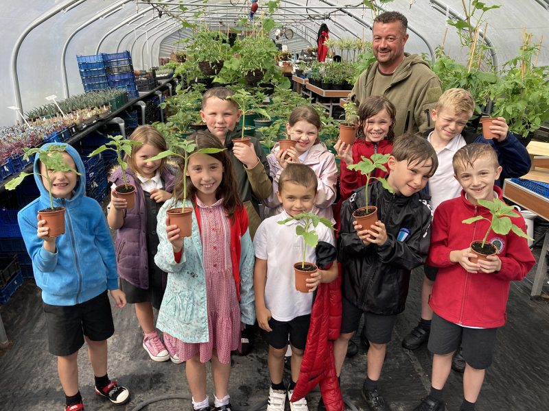 Cherry Garden children with their sunflower plants and Dean at That Plant Place