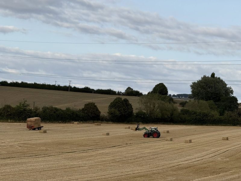 Part of the site off Barry Road where developers want to build